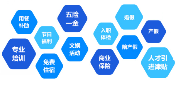 提供全面、系統(tǒng)、專業(yè)的培訓和廣闊的<br>職業(yè)發(fā)展空間和提升機會